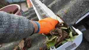 Gutter Cleaning Foxford